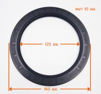 TC 125-160-10 วัดไซต์